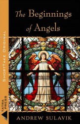 Beginnings of Angels_cover(1)